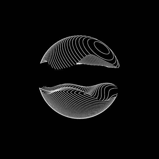 3D Wireframe Render